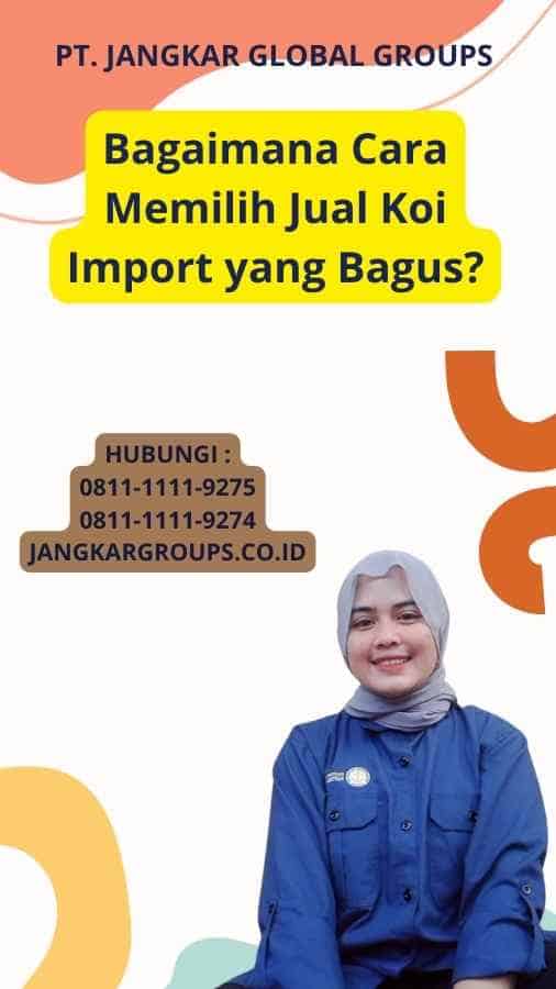 Bagaimana Cara Memilih Jual Koi Import yang Bagus?