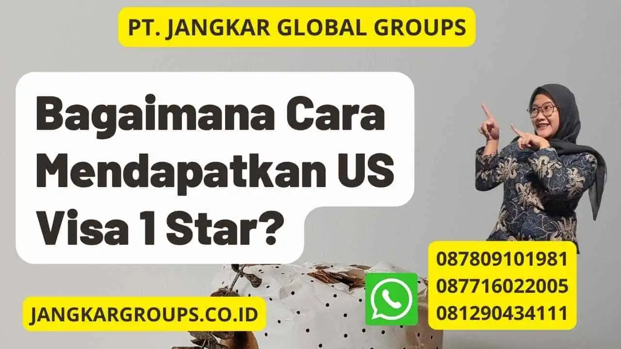 Bagaimana Cara Mendapatkan US Visa 1 Star?