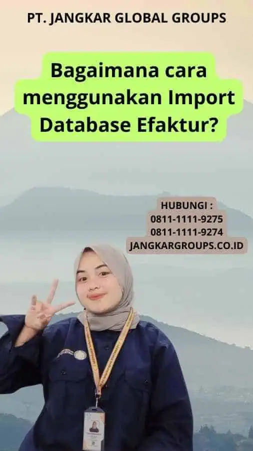 Bagaimana cara menggunakan Import Database Efaktur?