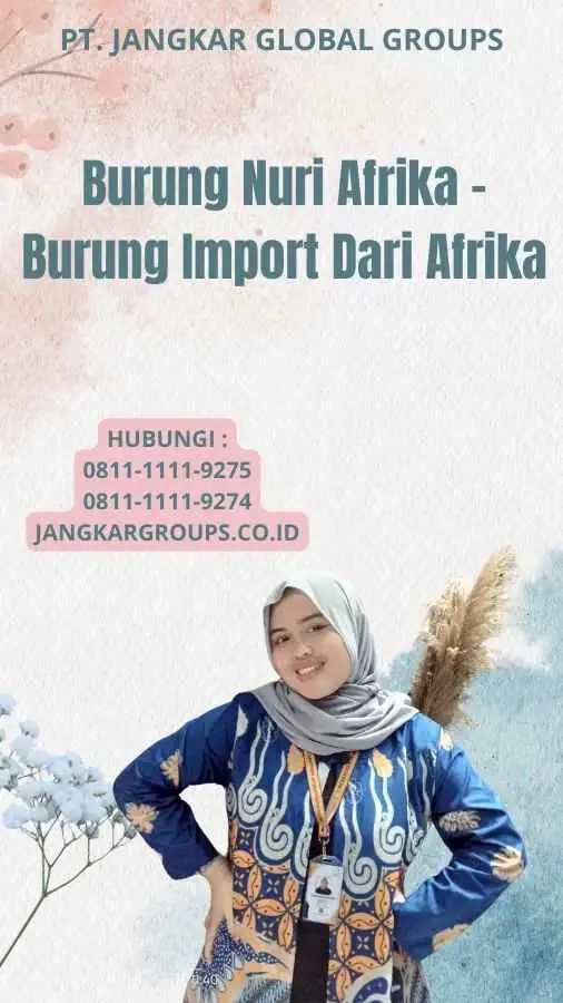 Burung Nuri Afrika - Burung Import Dari Afrika