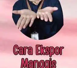 Cara Ekspor Manggis