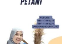 Dampak Import Garam Bagi Petani