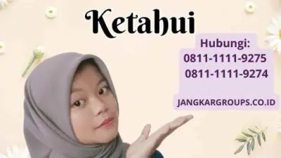 Data Impor Jeruk Segala Hal yang Perlu Kamu Ketahui