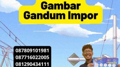 Gambar Gandum Impor