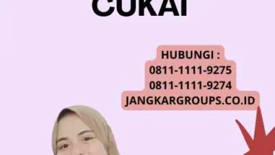 Import Menurut Bea Cukai