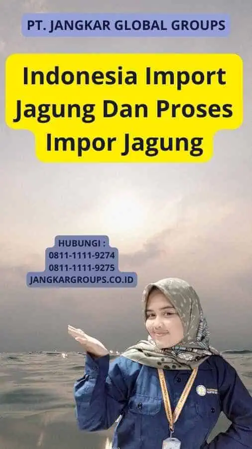 Indonesia Import Jagung Dan Proses Impor Jagung