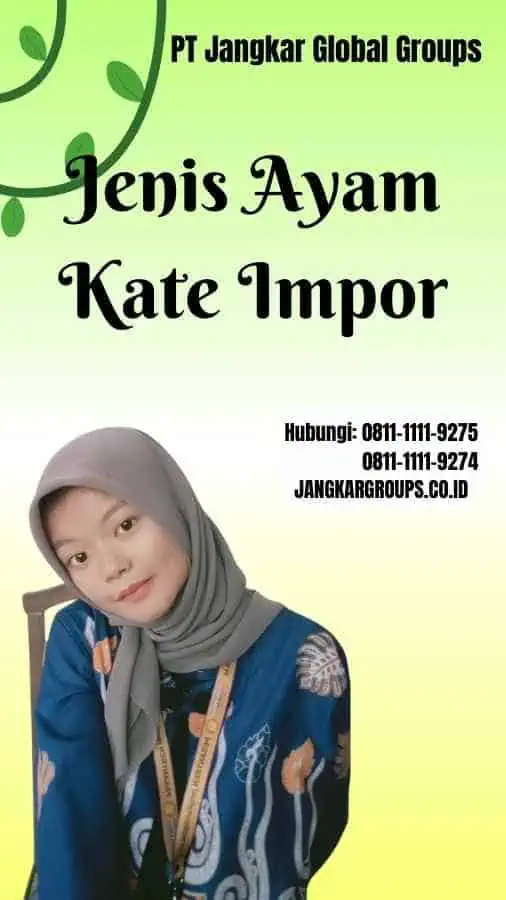 Jenis Ayam Kate Impor