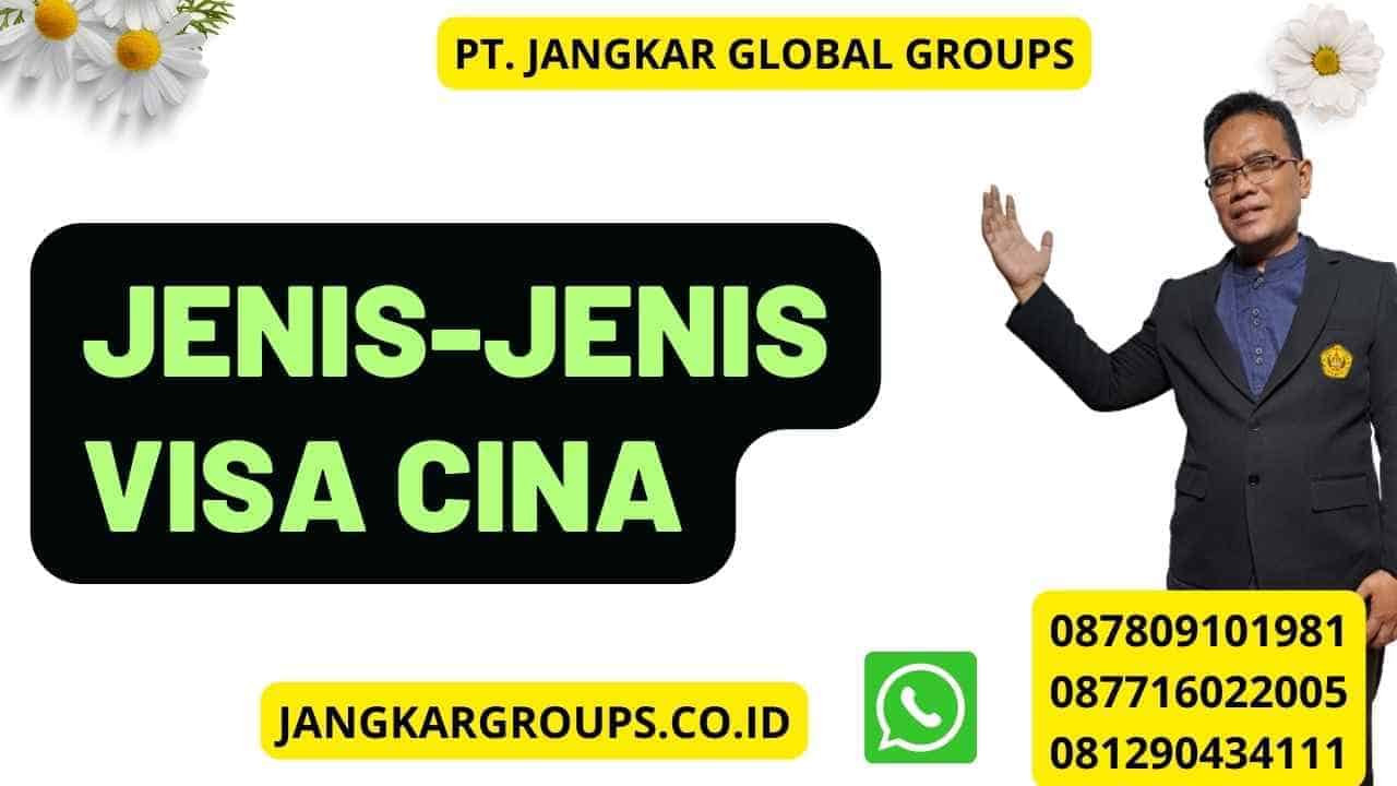 Jenis-jenis Visa Cina