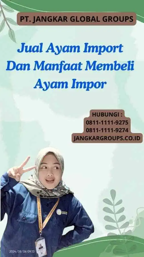 Jual Ayam Import Dan Manfaat Membeli Ayam Impor