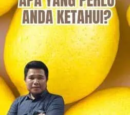 Kasus Buah Impor: Apa yang Perlu Anda Ketahui?