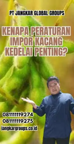 Kenapa Peraturan Impor Kacang Kedelai Penting?