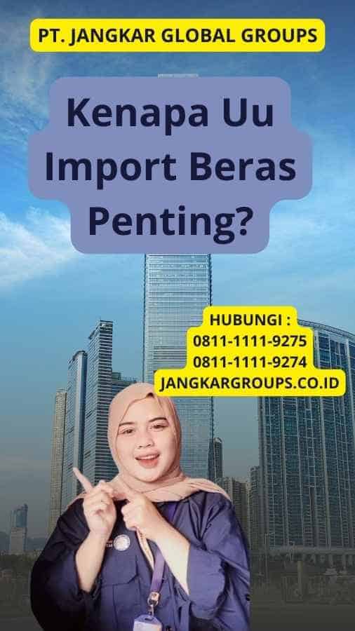 Kenapa Uu Import Beras Penting?