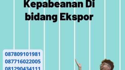 Ketentuan Kepabeanan Di bidang Ekspor