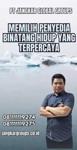 Memilih Penyedia Binatang Hidup yang Terpercaya