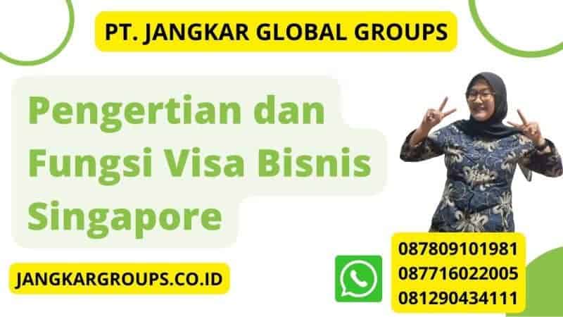 Pengertian dan Fungsi Visa Bisnis Singapore