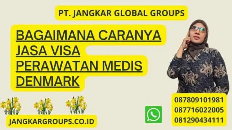 Bagaimana caranya Jasa Visa Perawatan Medis Denmark