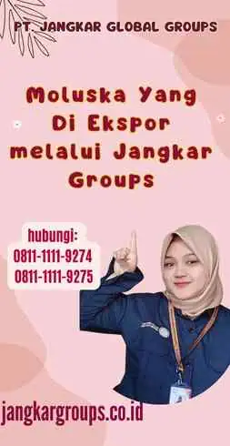 Moluska Yang Di Ekspor melalui Jangkar Groups