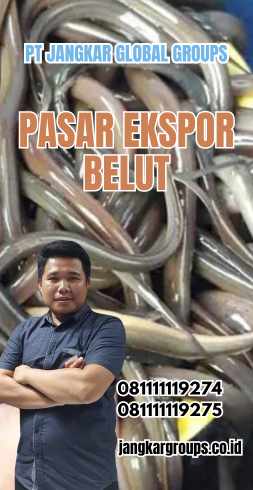 Pasar Ekspor Belut