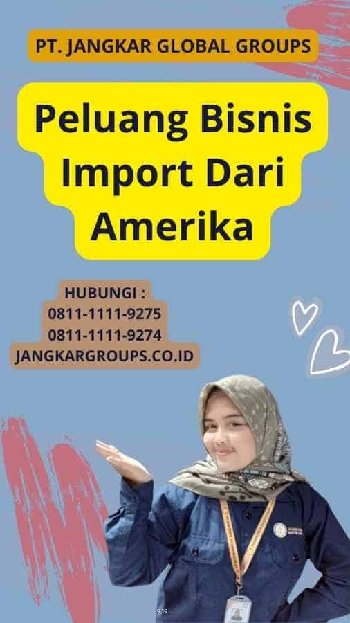 Peluang Bisnis Import Dari Amerika