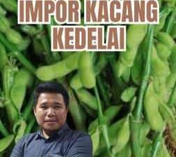 Peraturan Impor Kacang Kedelai