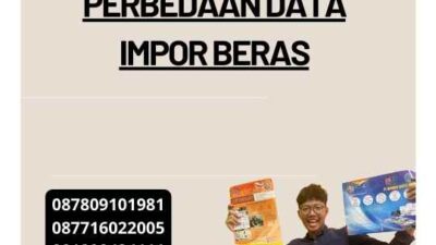 Perbedaan Data Impor Beras