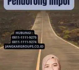 Sebutkan Faktor Pendorong Impor