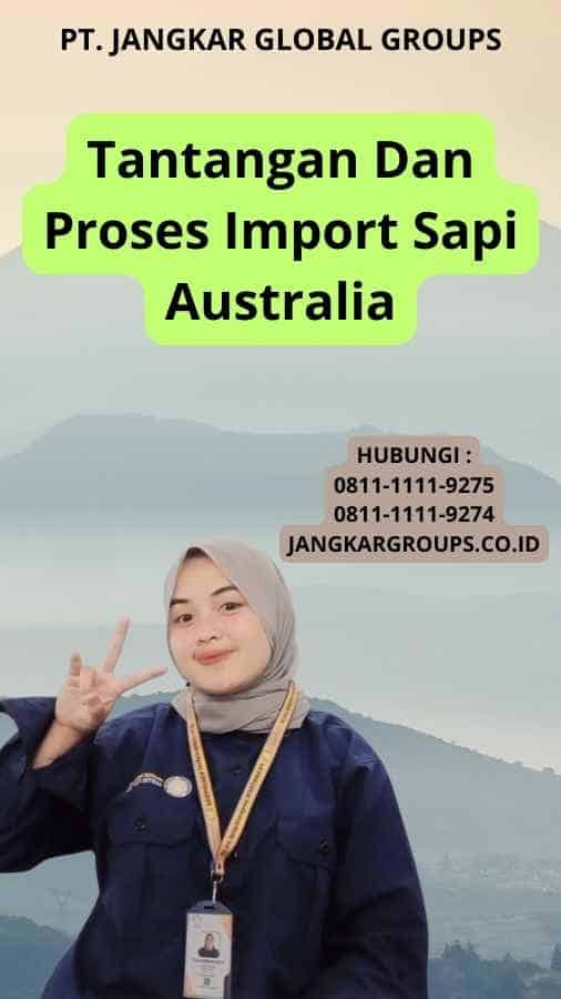 Tantangan dan Proses Import Sapi Australia
