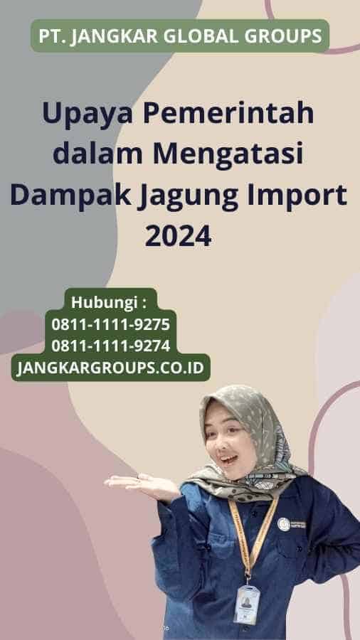 Upaya Pemerintah dalam Mengatasi Dampak Jagung Import 2024