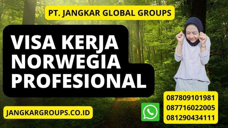 Visa Kerja Norwegia Profesional