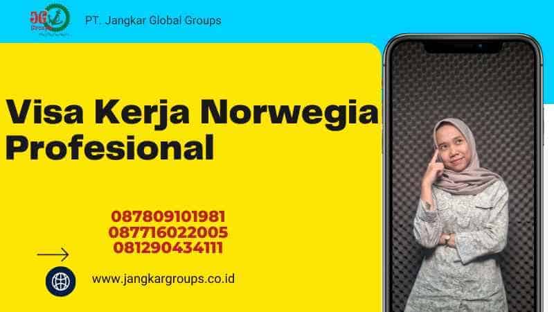 Visa Kerja Norwegia Profesional