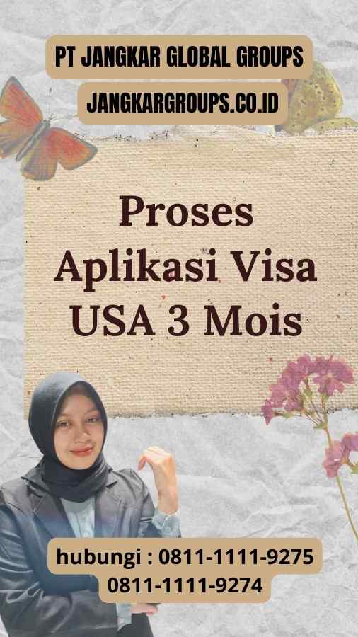 Proses Aplikasi Visa USA 3 Mois