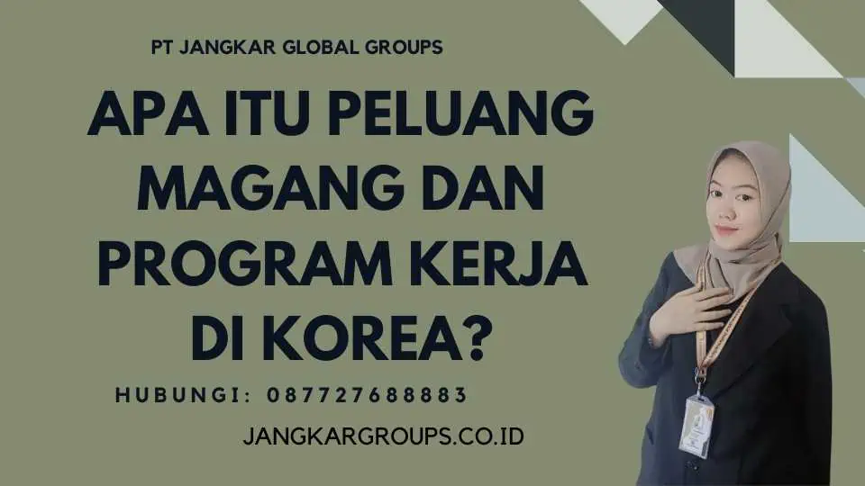 Apa itu Peluang Magang Dan Program Kerja Di Korea