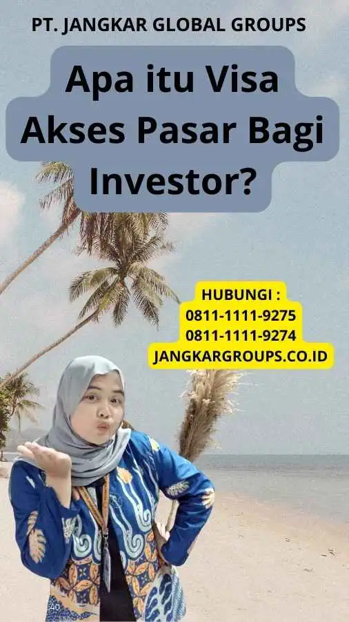 Apa itu Visa Akses Pasar Bagi Investor?