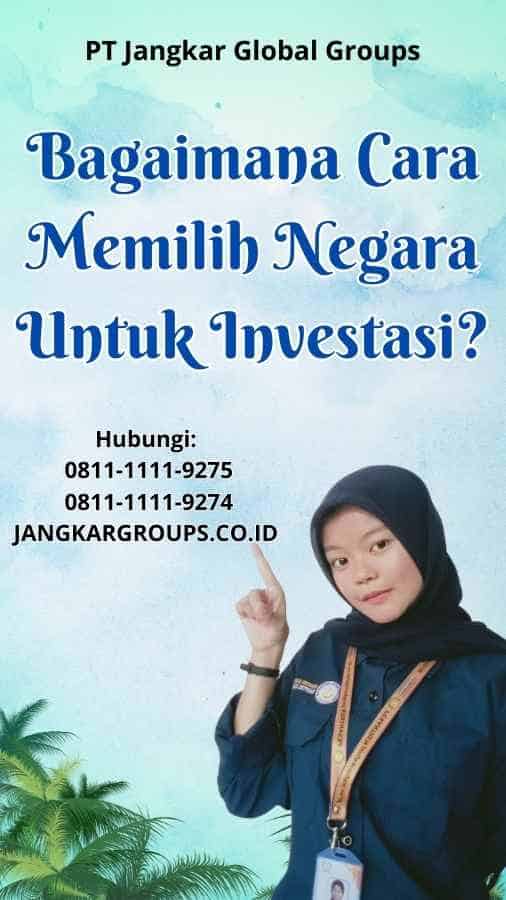 Bagaimana Cara Memilih Negara Untuk Investasi Visa Investasi Untuk Investor Dan Pengusaha