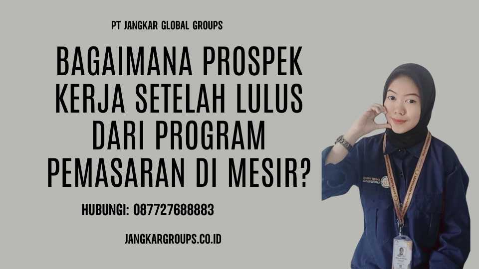 Bagaimana prospek kerja setelah lulus dari program pemasaran di Mesir - Biro Visa pelajar