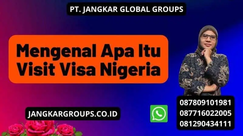 Mengenal Apa Itu Visit Visa Nigeria