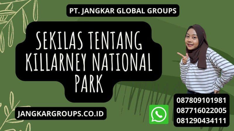 Sekilas tentang Killarney National Park