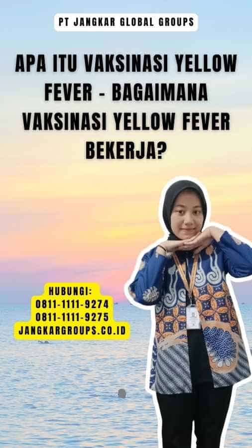 Apa Itu Vaksinasi Yellow Fever - Bagaimana Vaksinasi Yellow Fever Bekerja