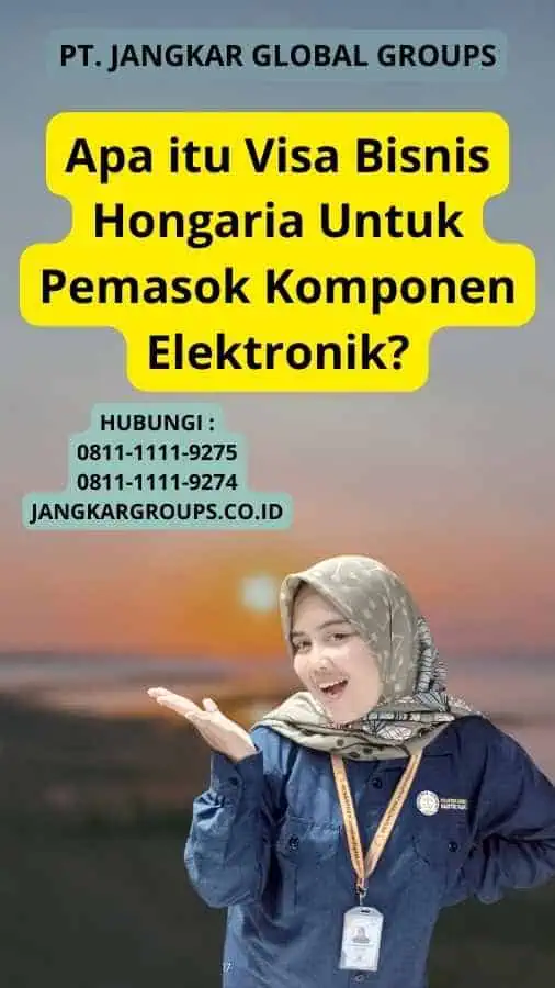 Apa itu Visa Bisnis Hongaria Untuk Pemasok Komponen Elektronik?