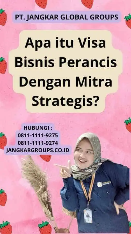 Apa itu Visa Bisnis Perancis Dengan Mitra Strategis?