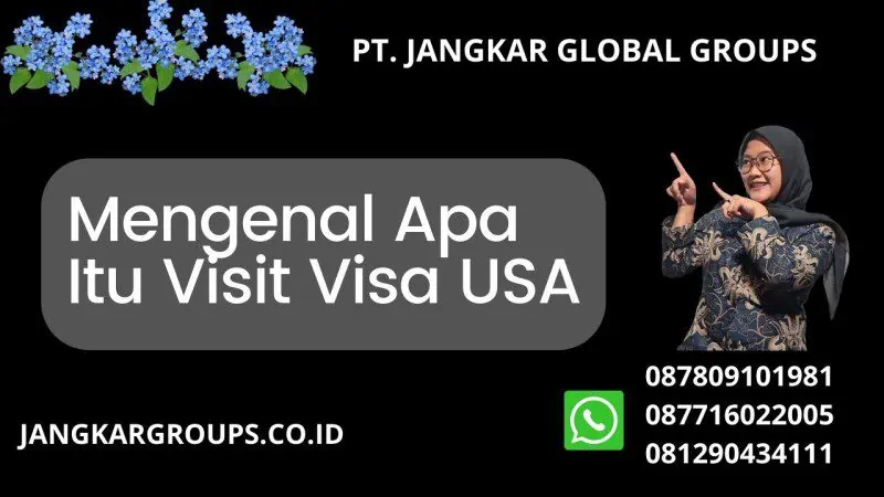 Mengenal Apa Itu Visit Visa USA