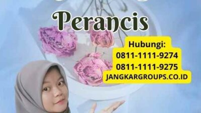 Permintaan Untuk Tenaga Kerja Asing Di Perancis