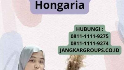 Visa Bisnis Hongaria Untuk Peralatan Medis Hongaria