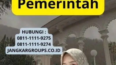 Visa Bisnis Jepang Untuk Pemerintah