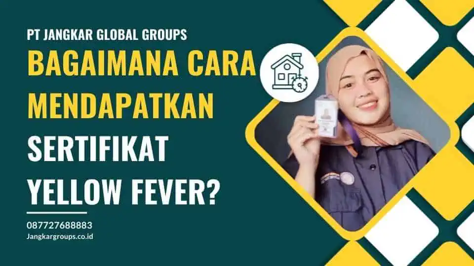 Bagaimana cara mendapatkan sertifikat Yellow Fever