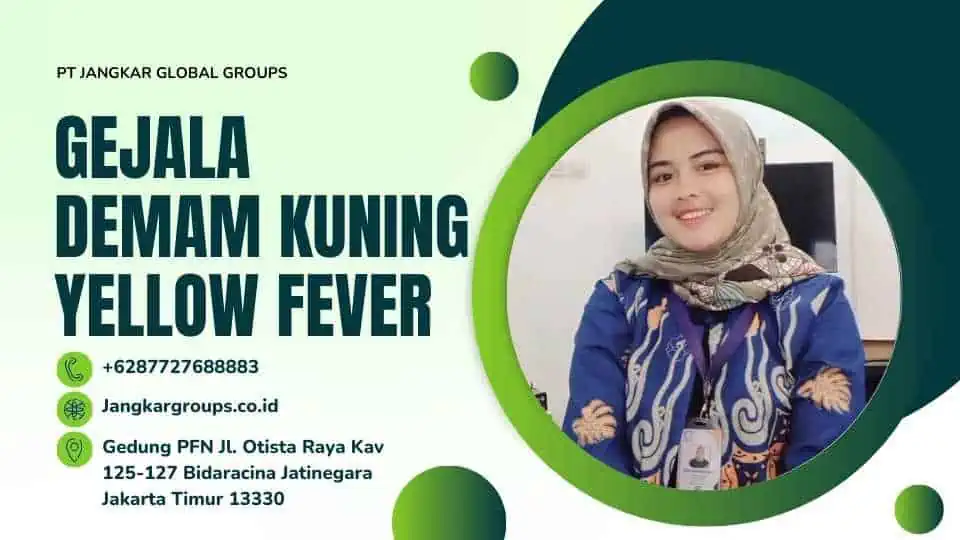 Gejala Demam Kuning Yellow Fever