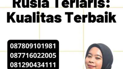 Penerjemah Tersumpah Rusia Terlaris: Kualitas Terbaik