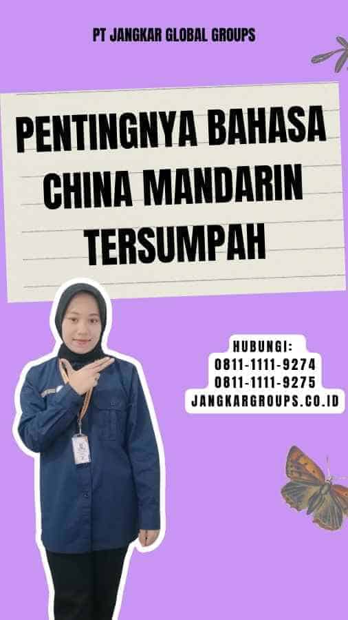 Pentingnya Bahasa China Mandarin Tersumpah