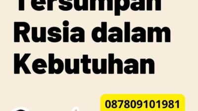 Peran Penerjemah Tersumpah Rusia dalam Kebutuhan