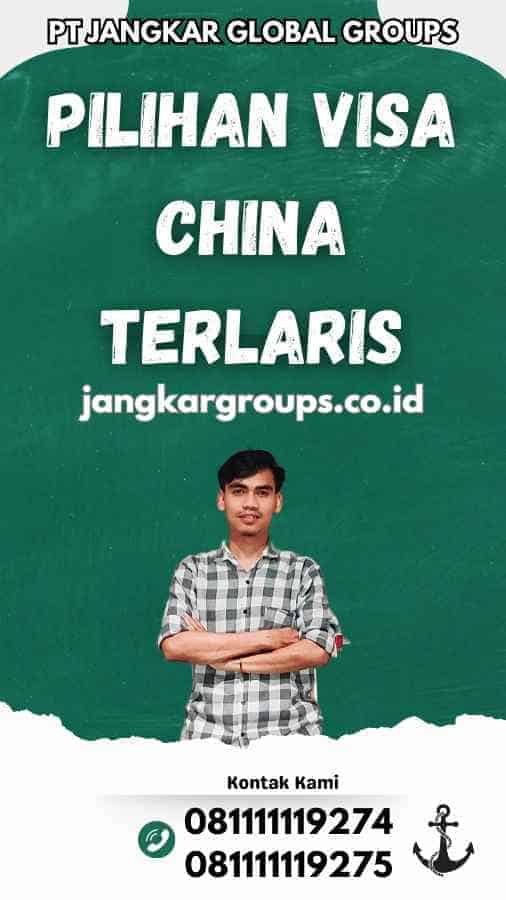 Pilihan Visa China Terlaris